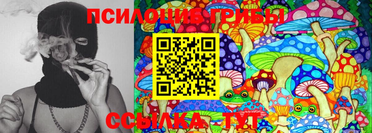 Псилоцибиновые грибы Psilocybe  Вход с VPN  Феодосия  Псилоцибиновые грибы мухоморы 